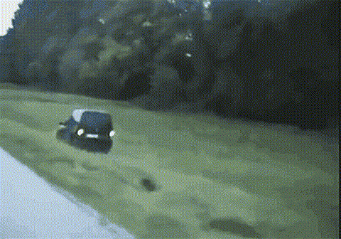 Wander image 9